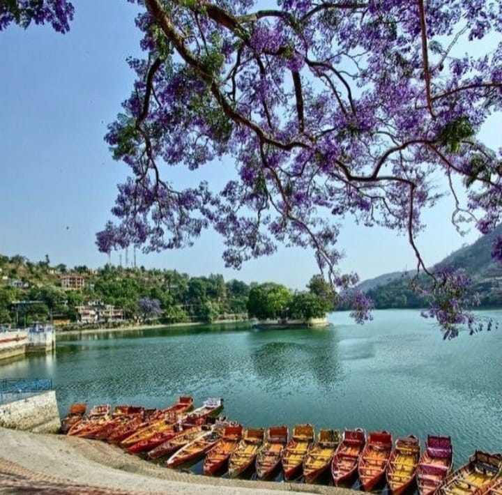 Bhimtal Floral Haven